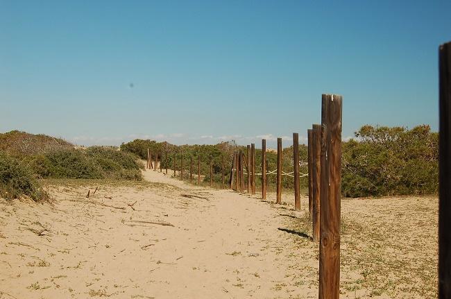Apartamento Pinada Beach- La Mata La Mata  Ngoại thất bức ảnh