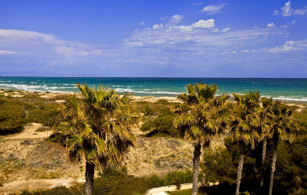 Apartamento Pinada Beach- La Mata La Mata  Ngoại thất bức ảnh